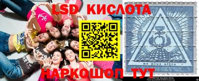 прущие грибы Обь