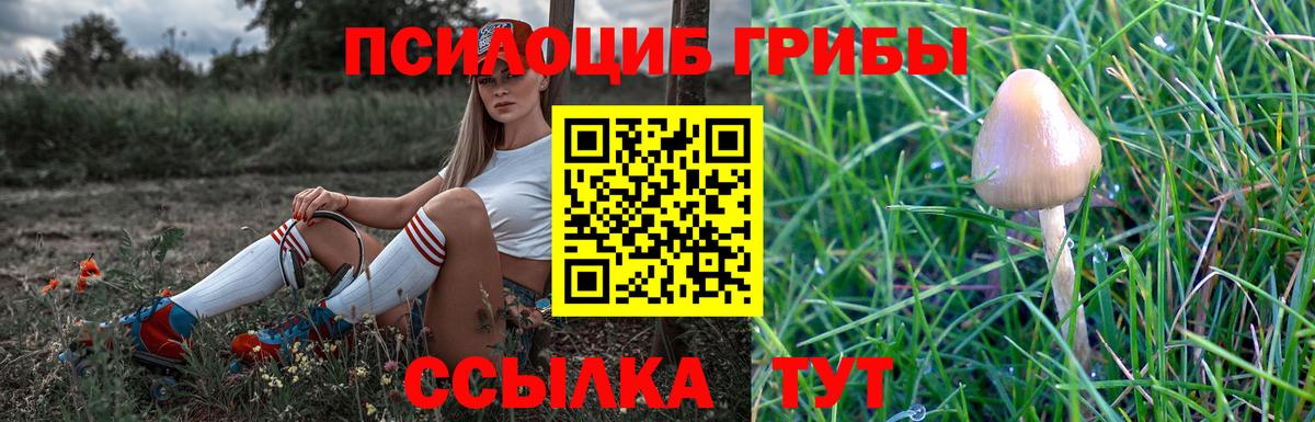 Ступино  Галлюциногенные грибы Psilocybe  Вход с VPN  Галлюциногенные грибы ЛСД 