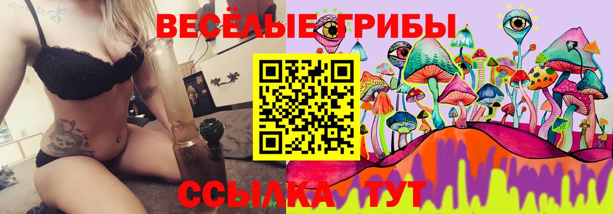 Псилоцибиновые грибы прущие грибы Ступино